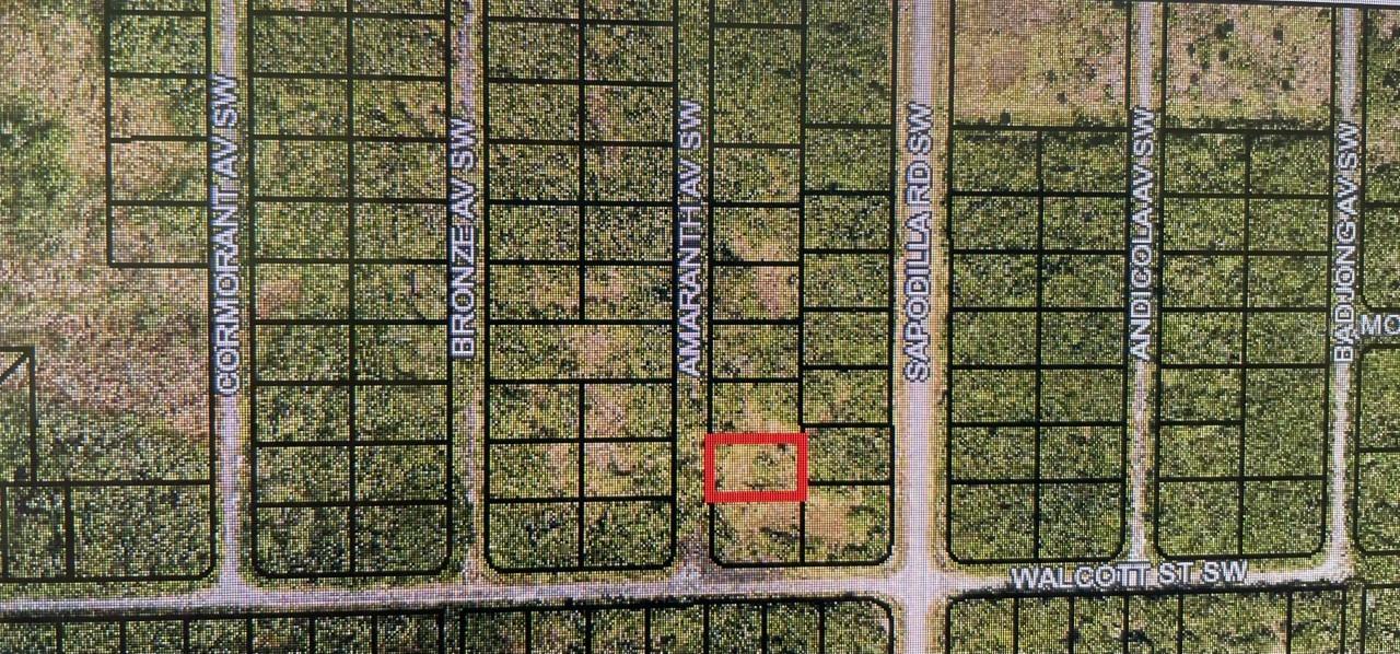 ARE YOU READY TO BUILD YOUR DREAM HOME, LOOK NO FURTHER. THIS PROPERTY IS CLOSE TO THE BEACH AND I-95.