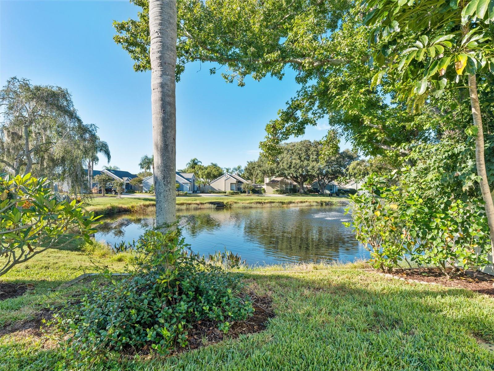 GEORGETOWN EAST - Residential