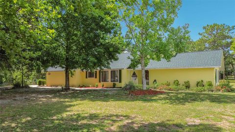 Photo of 2016 W Melline Lane, Lecanto, FL 34461 (MLS # G5113986)
