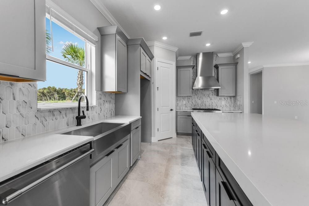 ESPLANADE AT SKYE RANCH - Residential