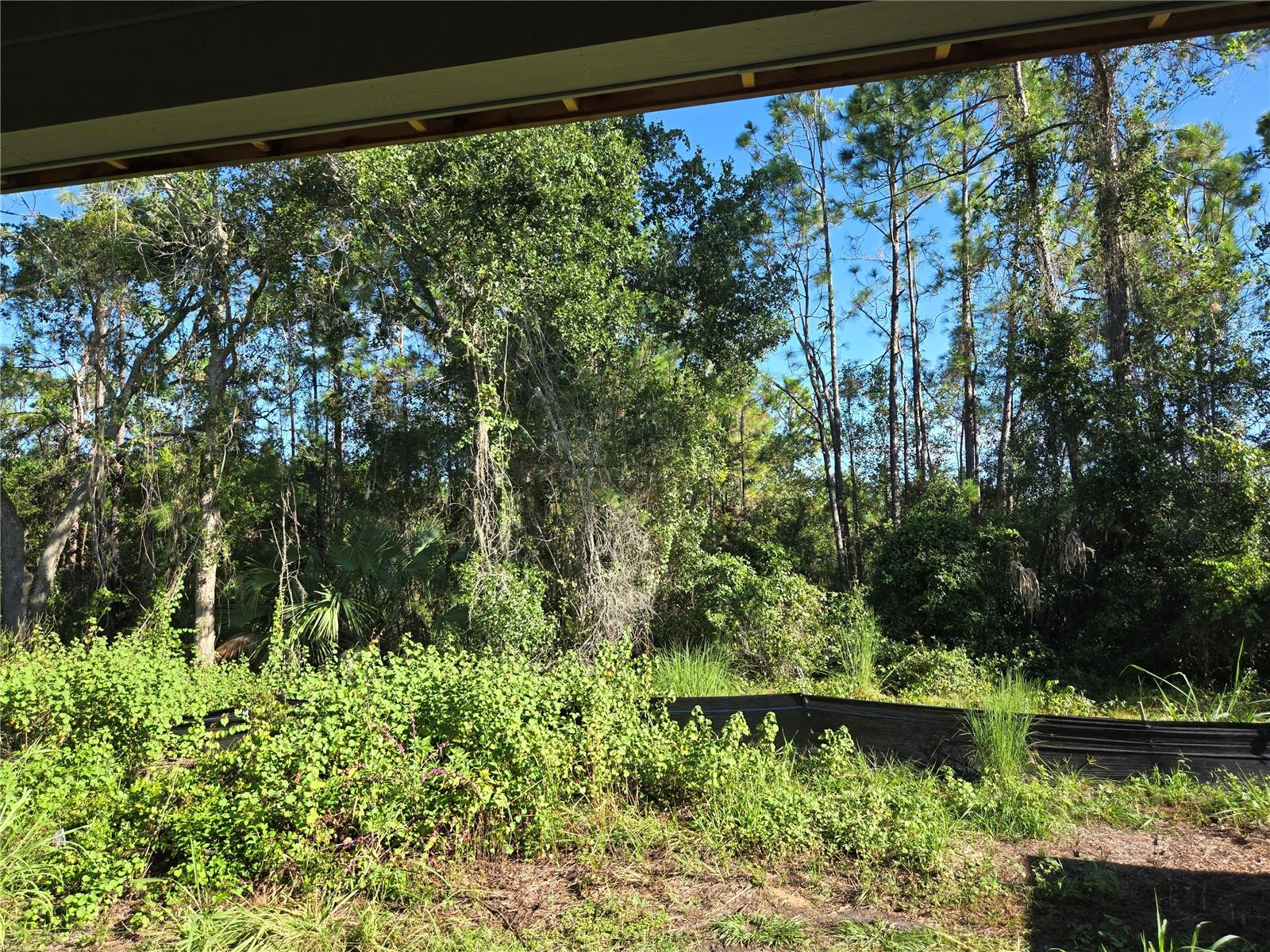 BLUE SPRING RESERVE - Residential