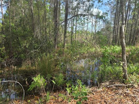 Tiny photo for 405 Long And Winding Road, Howey In The Hills, FL 34737 (MLS # O6245797)