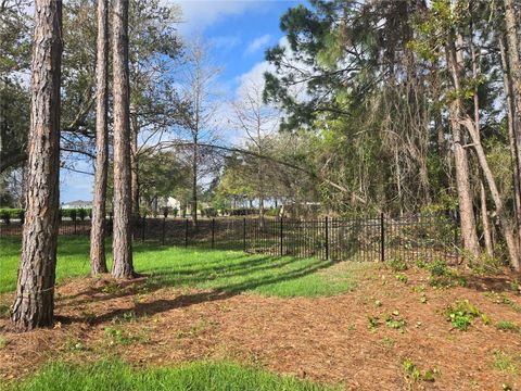 Tiny photo for 405 Long And Winding Road, Howey In The Hills, FL 34737 (MLS # O6245797)