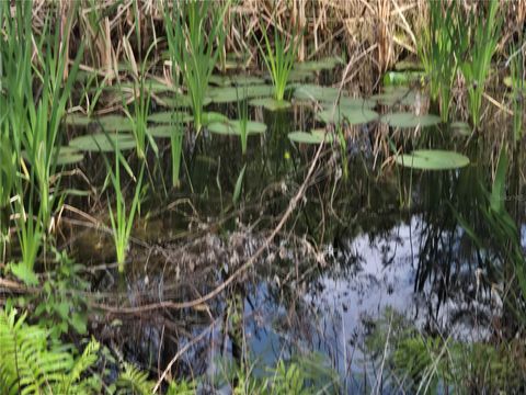 Tiny photo for 405 Long And Winding Road, Howey In The Hills, FL 34737 (MLS # O6245797)