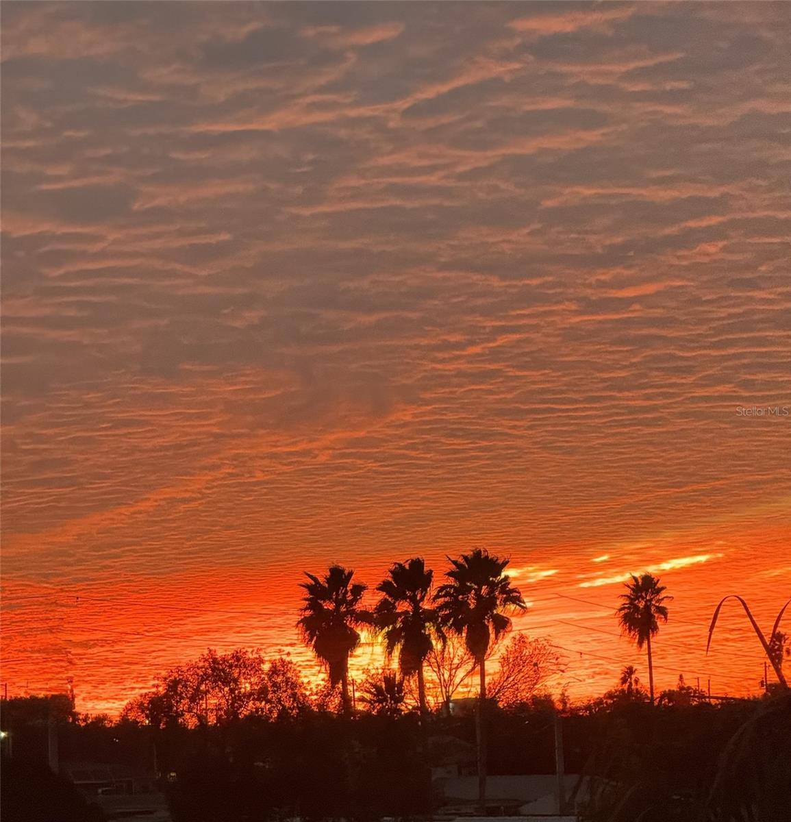 GULF HARBORS CONDO - Residential