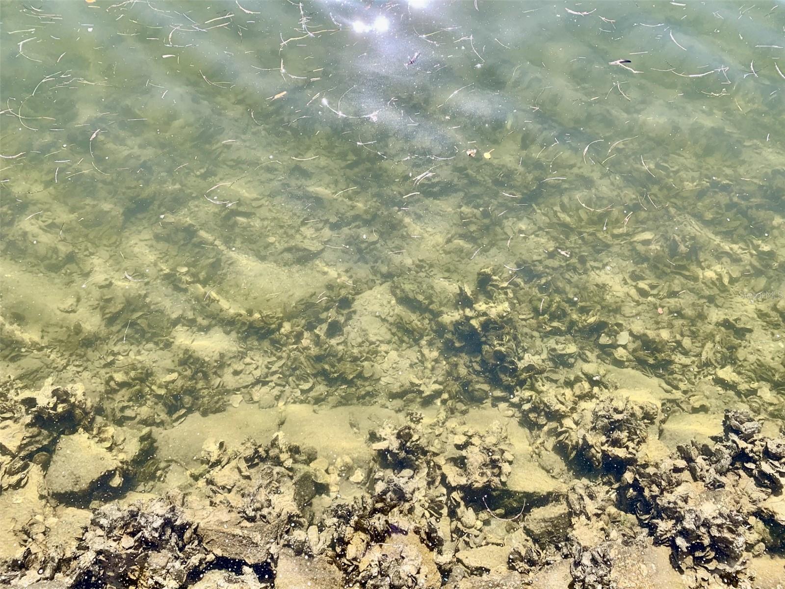 GULF HARBORS CONDO - Residential