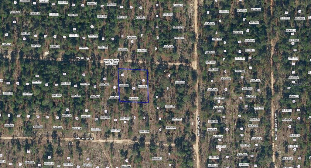 Photo of 103 Wyoming Street, Hawthorne, FL 32640 (MLS # O6389886)