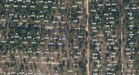 103 WYOMING STREET HAWTHORNE FL 32640