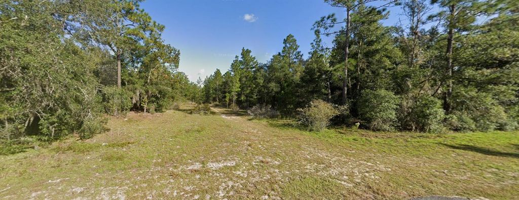 Photo of 103 Wyoming Street, Hawthorne, FL 32640 (MLS # O6389886)