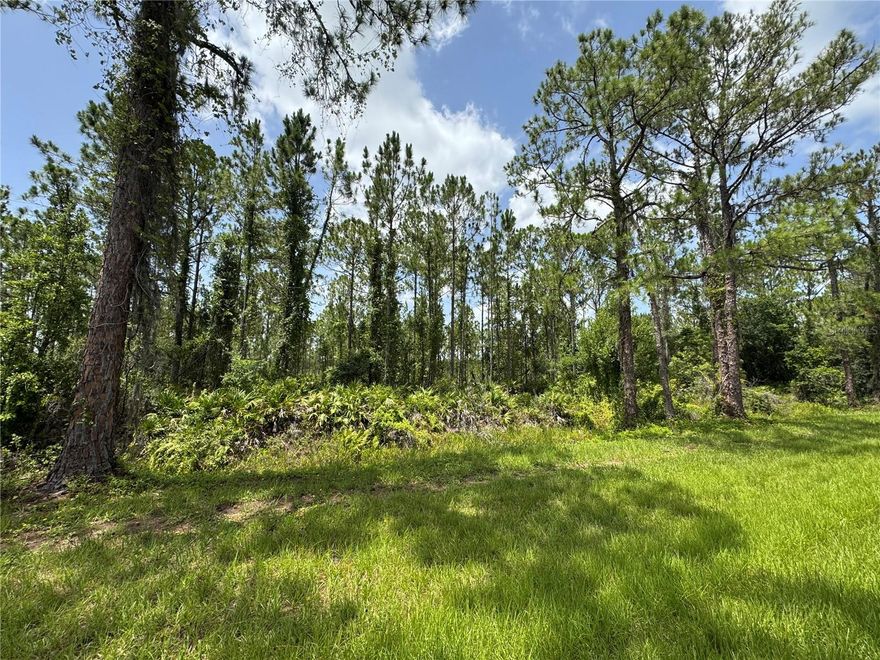 1.27-acre lot. Ideal for outdoor enthusiast with access to 44,000+ acres of hunting and recreational land.