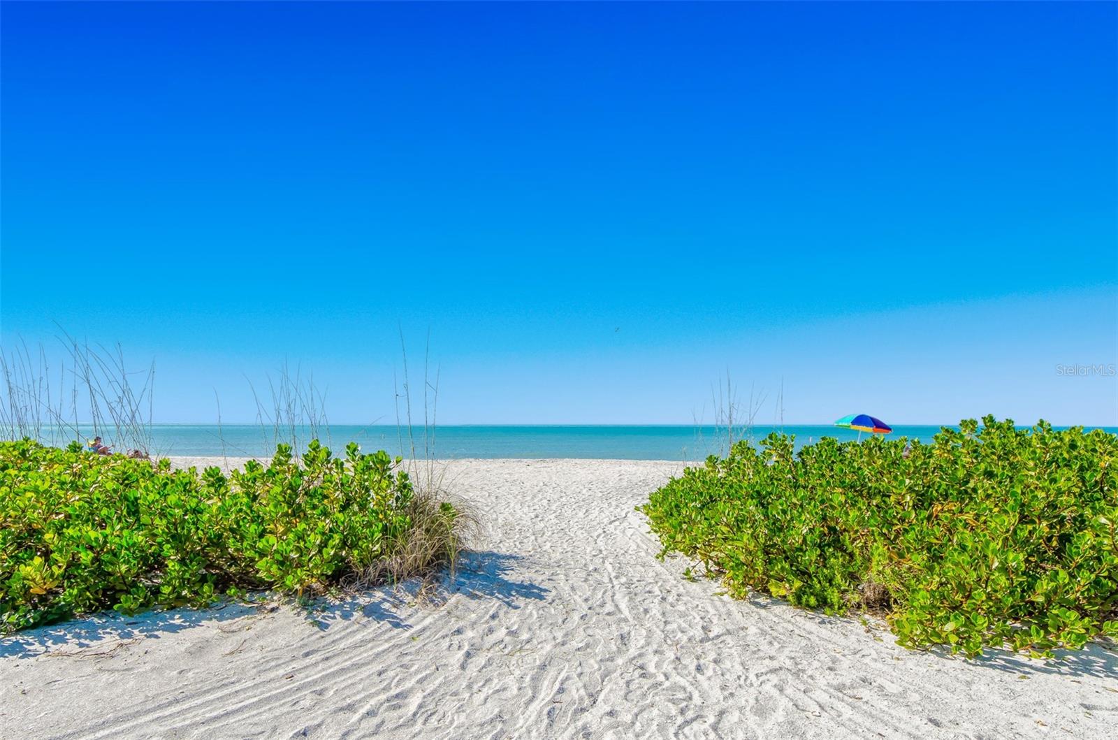 1230 GULF BOULEVARD 1404