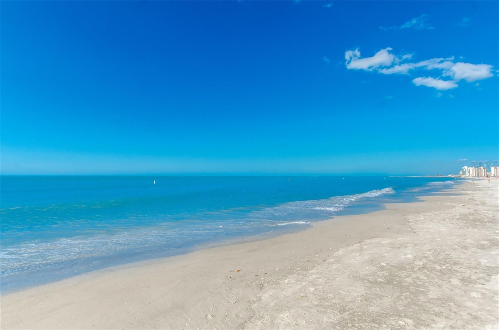 1230 GULF BOULEVARD 1404