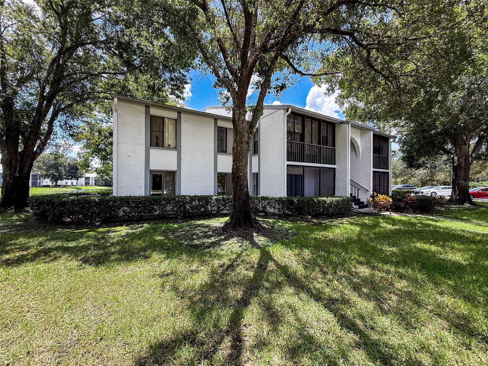 One or more photo(s) has been virtually staged. Amazing opportunity with this tastefully renovated first-floor condo with pond view! Step into this spacious 2-bedroom, 2-bath home in Pine Ridge at Lake Tarpon, where an open floor plan and tranquil pond views create the perfect retreat. The updated kitchen boasts granite countertops, brand-new stainless steel appliances, and plenty of cabinet space, seamlessly connecting to the living and dining areas. The large primary bedroom offers a generous walk-in closet and a private en-suite with a modern vanity and tiled shower. Additional highlights include a dedicated laundry room with a washer and dryer, an enclosed lanai that extends your living space, and fully updated guest bathroom. This well-maintained community offers resort-style amenities including a heated pool, spa, clubhouse, tennis court, BBQ grills, and scenic walking and biking paths. Low quarterly condo fees include water, trash, cable, escrow reserves, and exterior maintenance. Don't miss this amazing opportunity, schedule your showing today!