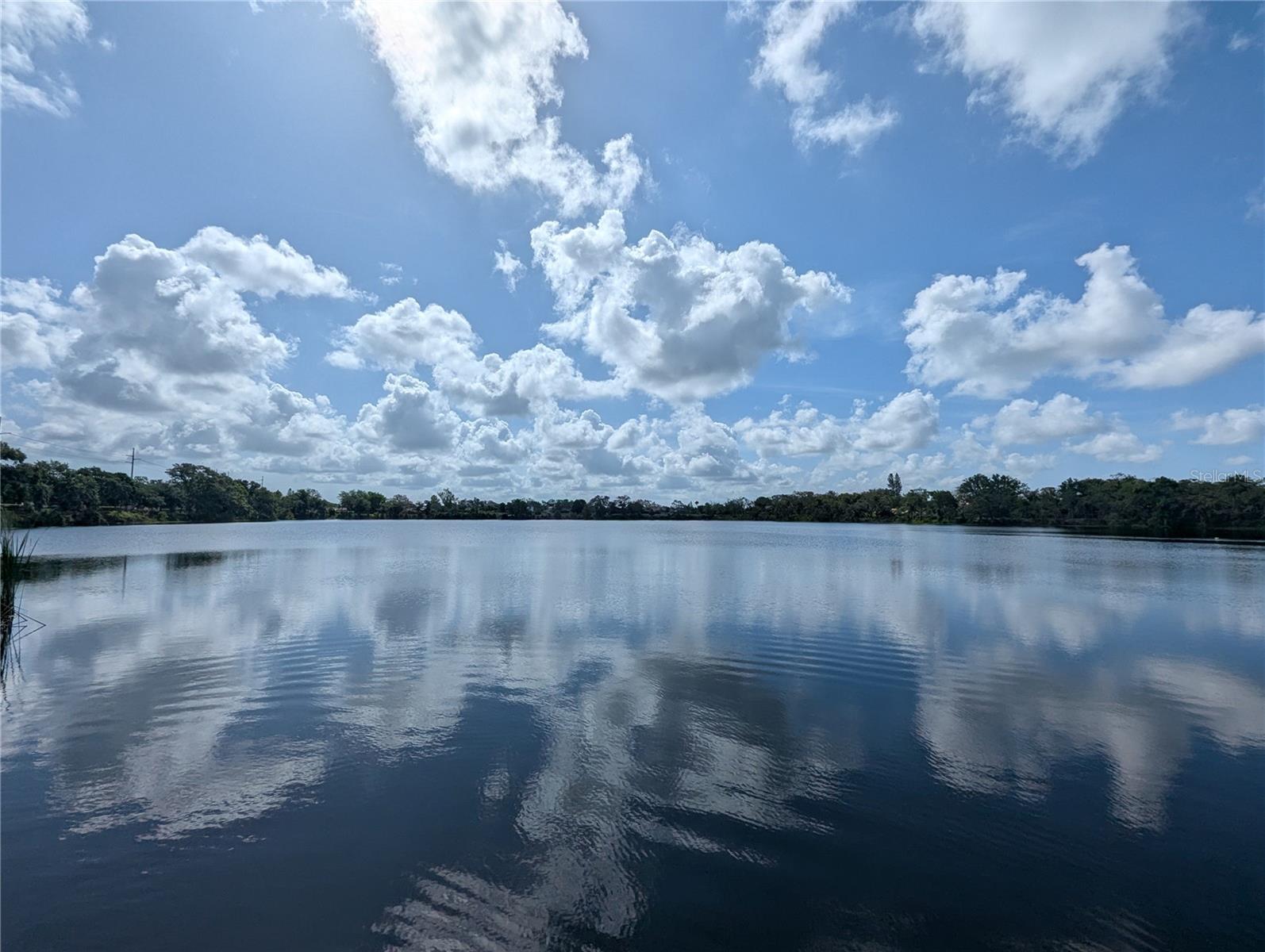 MARTIN TERRACE 1ST ADD - Residential