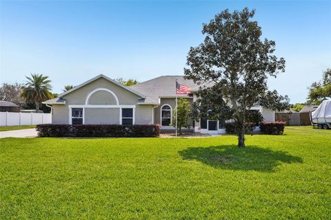 13116 GLENVIEW LANE GRAND ISLAND FL 32735