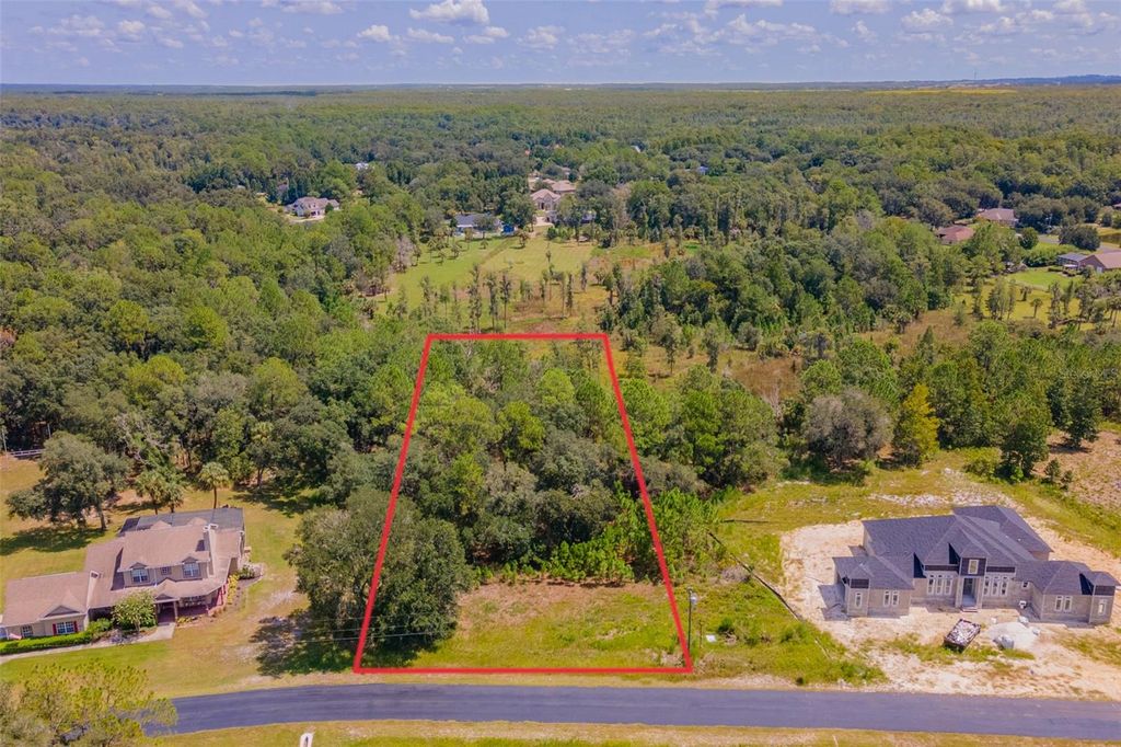 Photo of 8547 SPRING FOREST LANE, WESLEY CHAPEL, FL 33544 (MLS # T3468380)