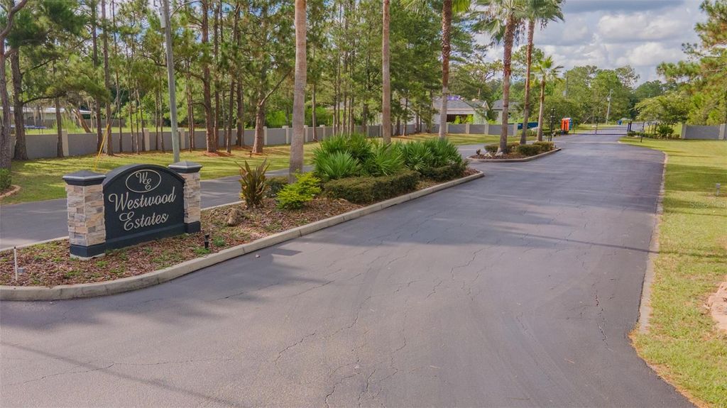 Photo of 8547 SPRING FOREST LANE, WESLEY CHAPEL, FL 33544 (MLS # T3468380)