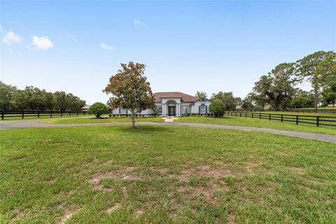 Tiny photo for 6208 NW 12th Street, Ocala, FL 34482 (MLS # OM713514)