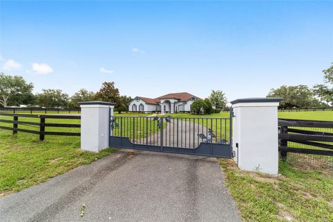 Tiny photo for 6208 NW 12th Street, Ocala, FL 34482 (MLS # OM713514)