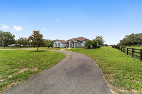 Tiny photo for 6208 NW 12th Street, Ocala, FL 34482 (MLS # OM713514)