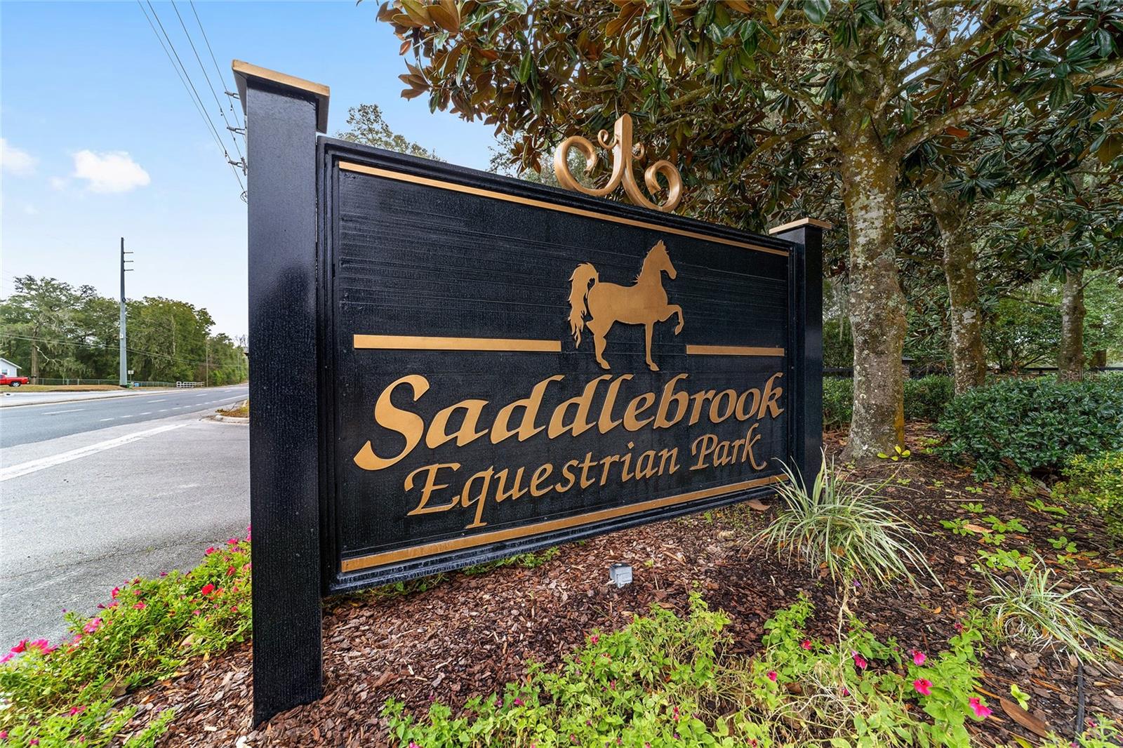 SADDLEBROOK EQUESTRIAN PARK - Residential