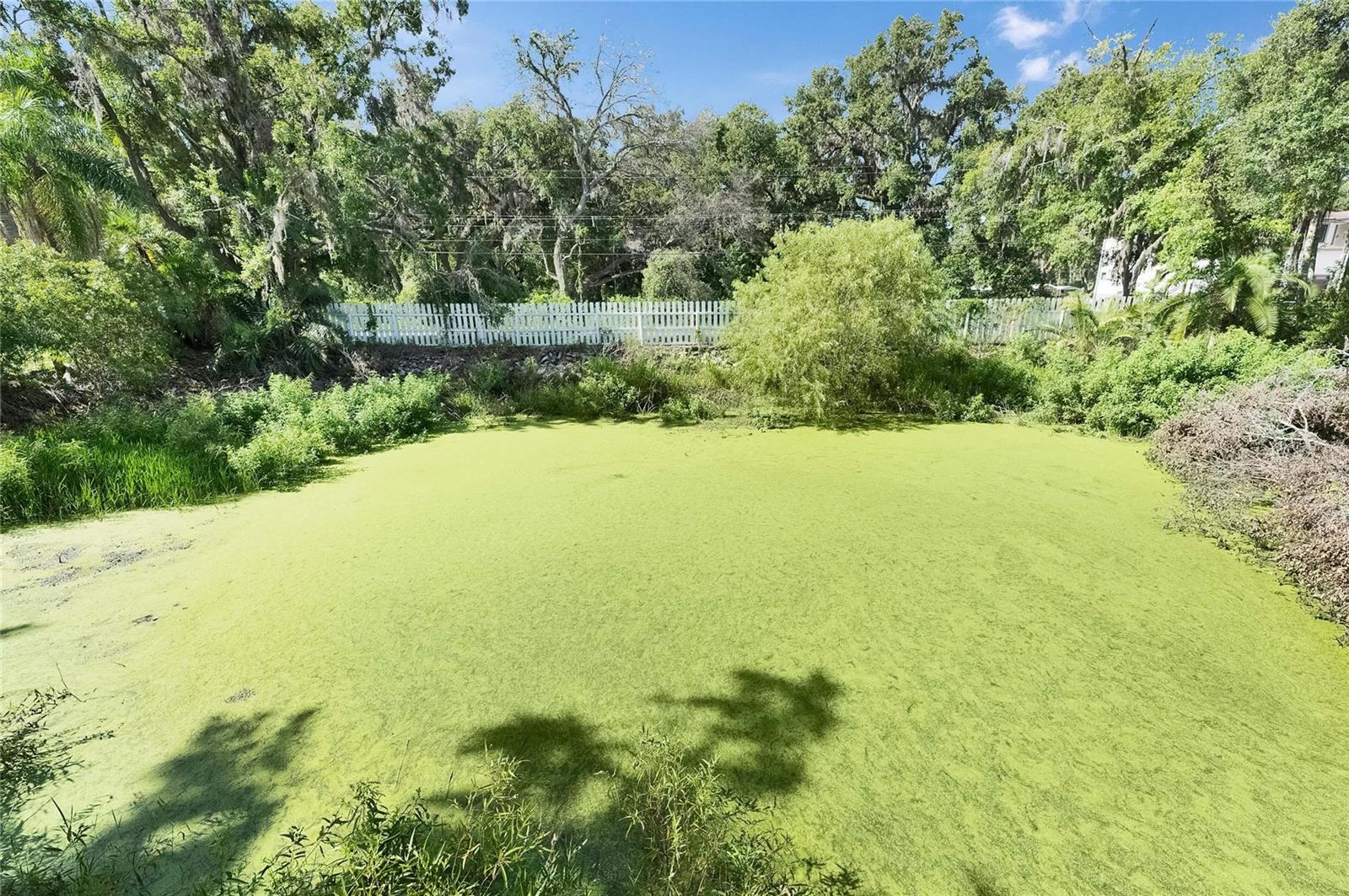 MAJESTIC OAKS PRESERVE - Land