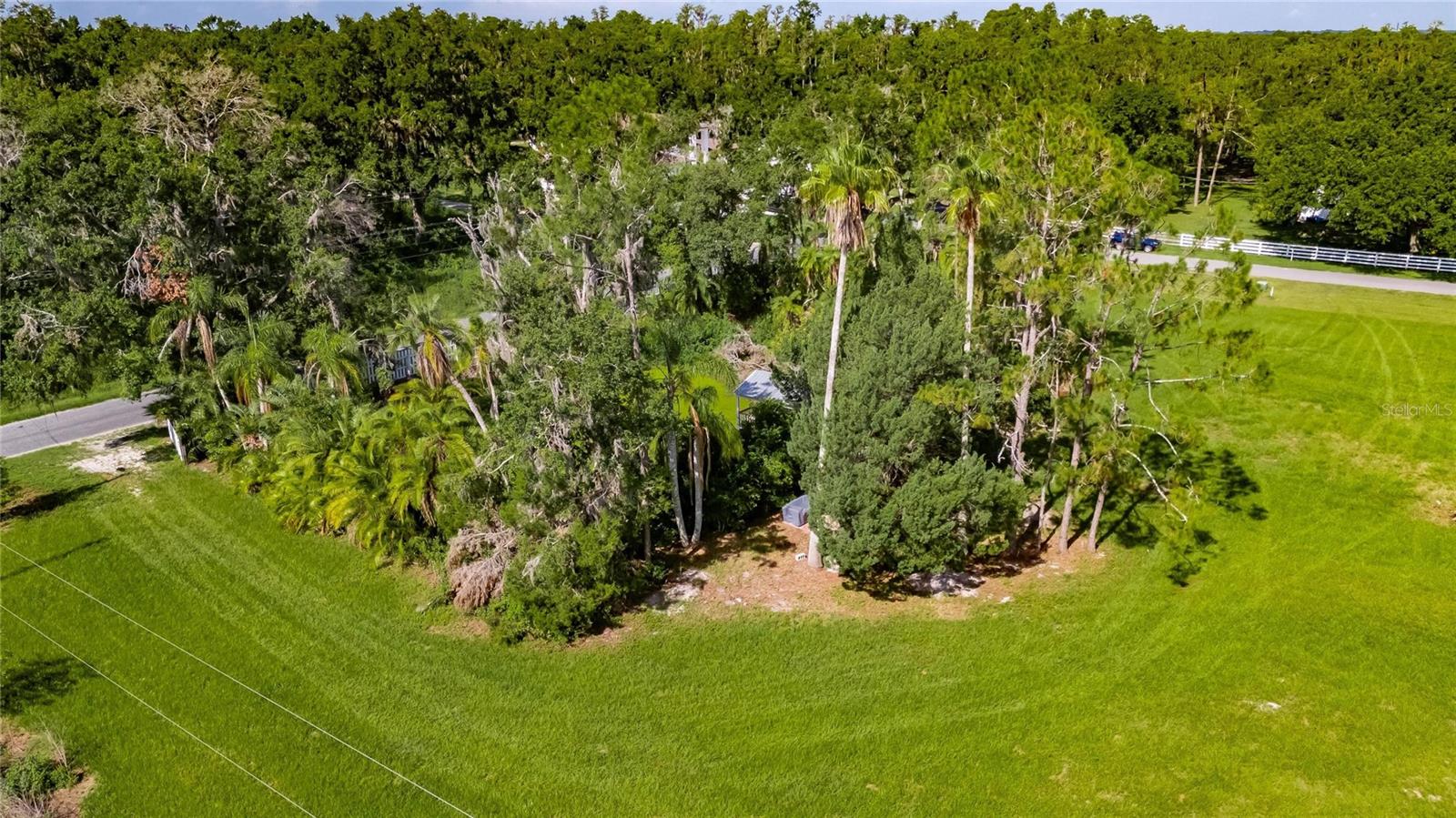 MAJESTIC OAKS PRESERVE - Land