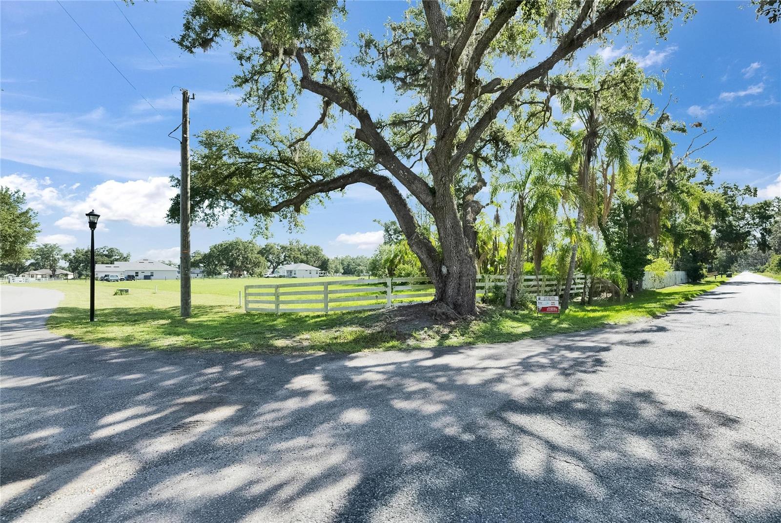 MAJESTIC OAKS PRESERVE - Land