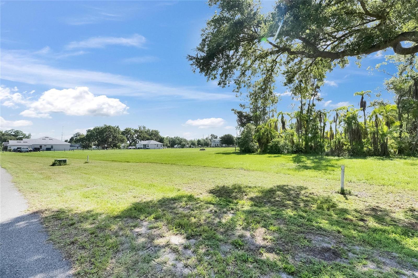 MAJESTIC OAKS PRESERVE - Land