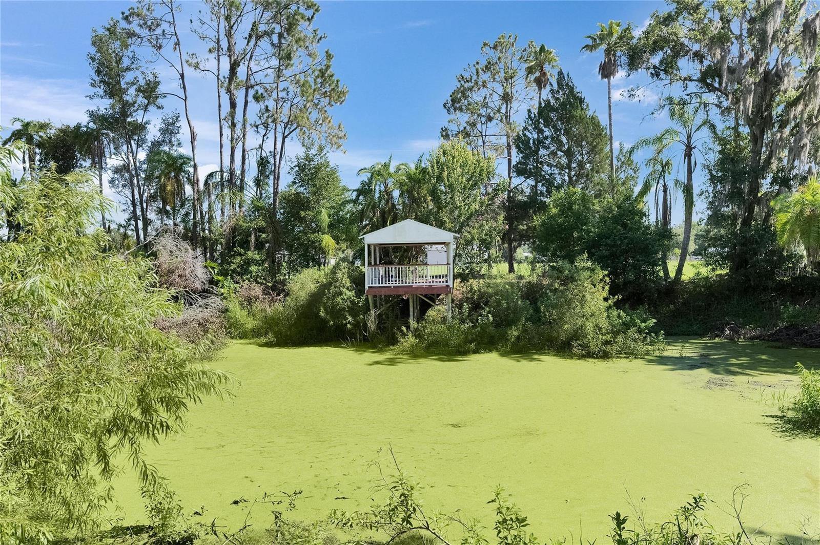 MAJESTIC OAKS PRESERVE - Land