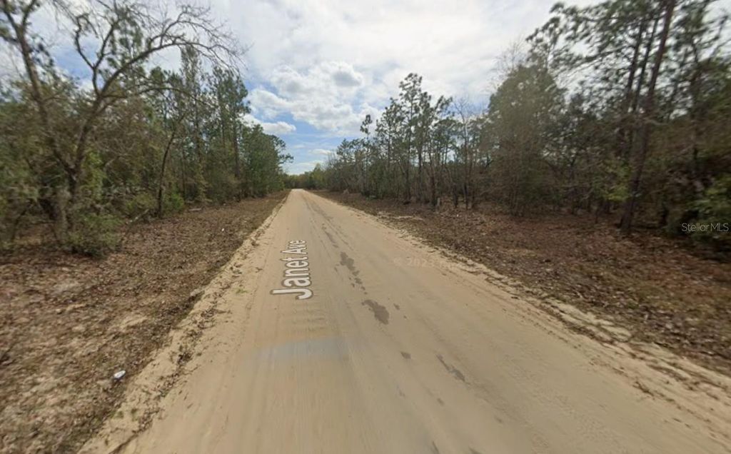 Photo of 28 Janet Avenue, Interlachen, FL 32148 (MLS # K4903421)