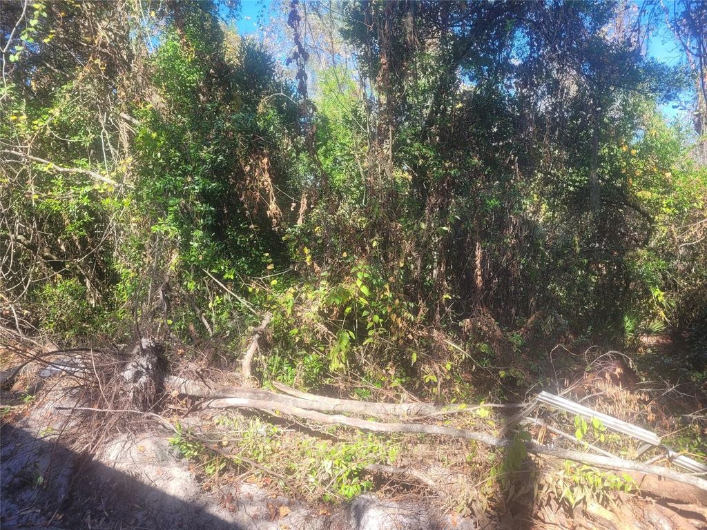 Photo of Adler Street, New Port Richey, FL 34654 (MLS # W7880930)