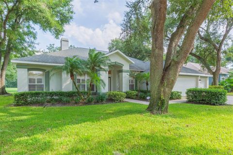 A home in VALRICO