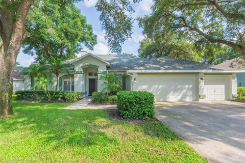 A home in VALRICO