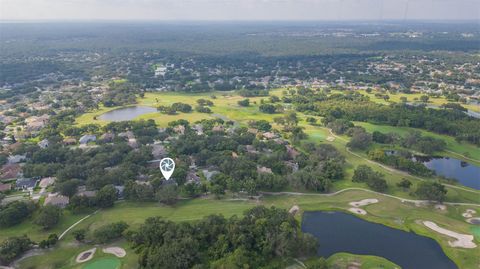 A home in VALRICO