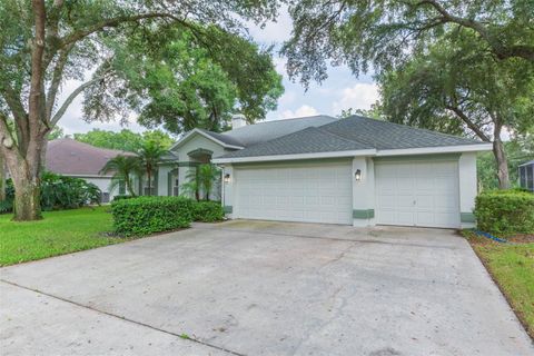 A home in VALRICO