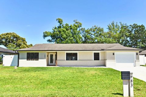 A home in DELTONA