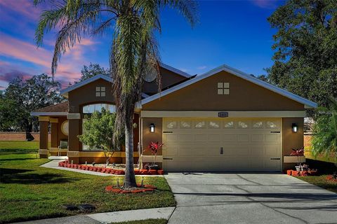 A home in KISSIMMEE