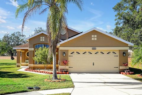 A home in KISSIMMEE