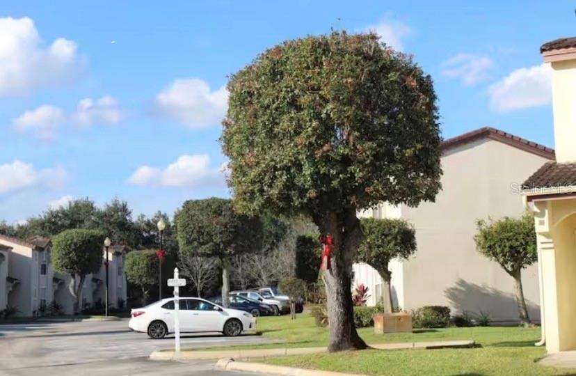 VILLAGES AT MANGO KEY PH 01A - Residential