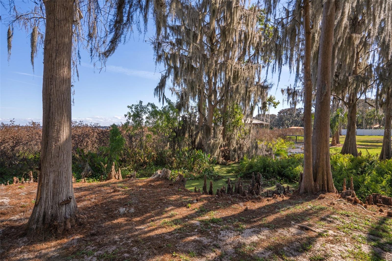 NOT IN SUBDIVISION - Residential