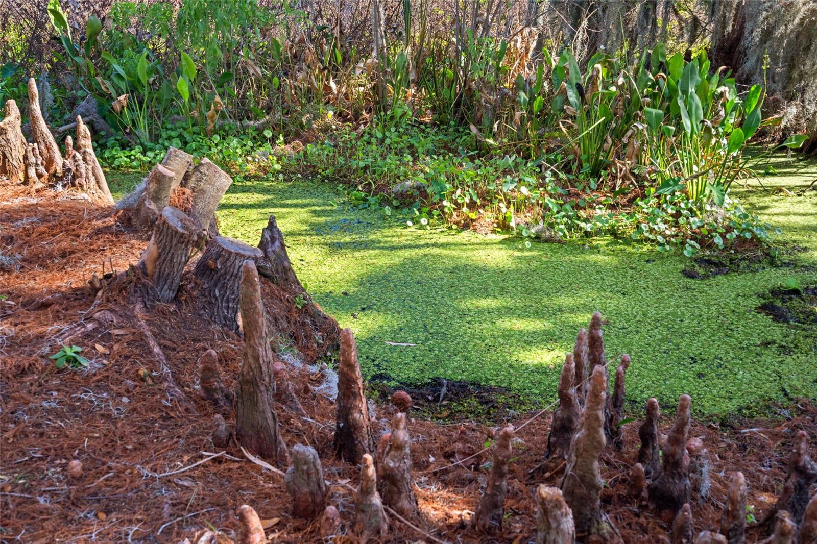 NOT IN SUBDIVISION - Residential