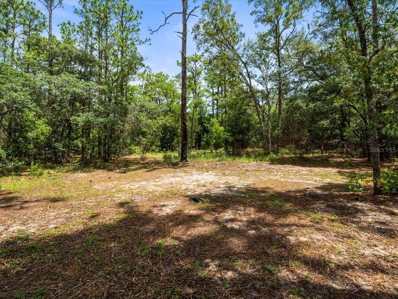 CELINA HILLS - Residential