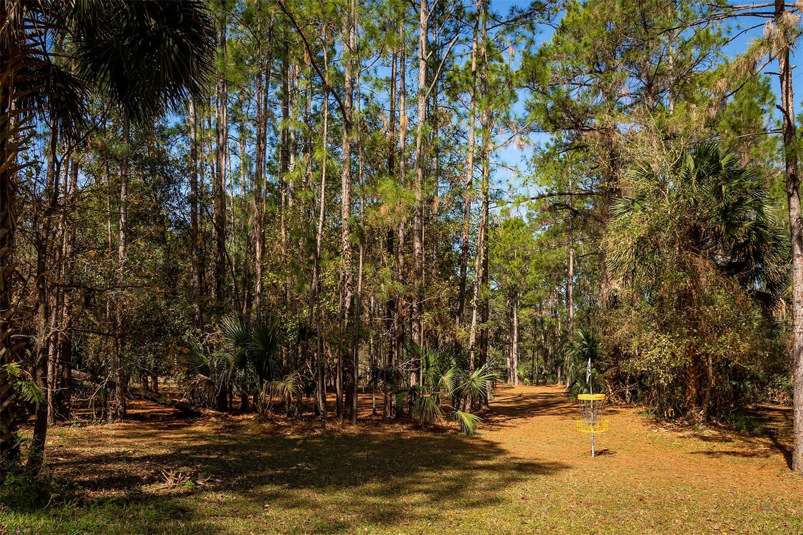 RIVINGTON - Residential