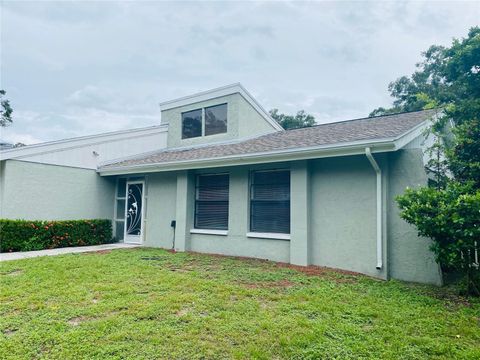 A home in PALM HARBOR