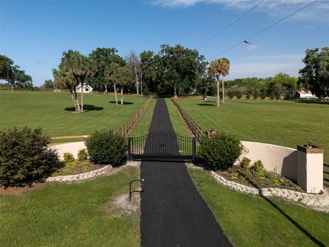 Tiny photo for 16700 NW Highway 225, Reddick, FL 32686 (MLS # OM699078)