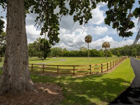 Tiny photo for 16700 NW Highway 225, Reddick, FL 32686 (MLS # OM699078)