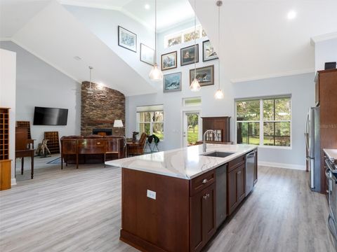 Tiny photo for 16700 NW Highway 225, Reddick, FL 32686 (MLS # OM699078)