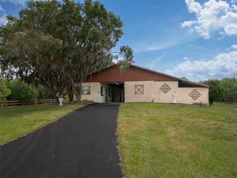 Tiny photo for 16700 NW Highway 225, Reddick, FL 32686 (MLS # OM699078)