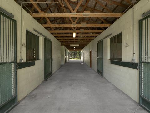 Tiny photo for 16700 NW Highway 225, Reddick, FL 32686 (MLS # OM699078)